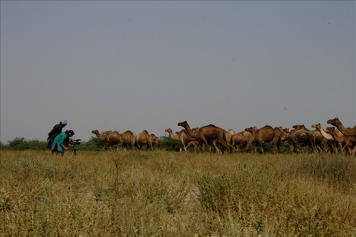 Photograph a photographer while you are there.