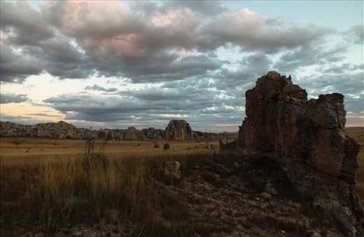 Madagascar was torn from the African mainland some 160 million years ago and evolved a highly diversified assemblage of landscapes, each home to unique animal and plant species. The semi-arid southwestern part of the island is dominated by vast savannahs, such as that of Isalo National Park. Those grasslands are expanding rapidly due to abusive land use and climate change, threatening the very few remaining forests of the country. 