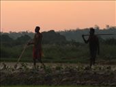 There are 18 ethnic groups native to Madagascar, each having their own beliefs and livelihoods. Those Sakalava men are going home after a long day’s work in the fields. : by sandra_ab, Views[935]