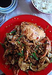 by sandrareynolds, Views[244]