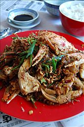 by sandrareynolds, Views[257]