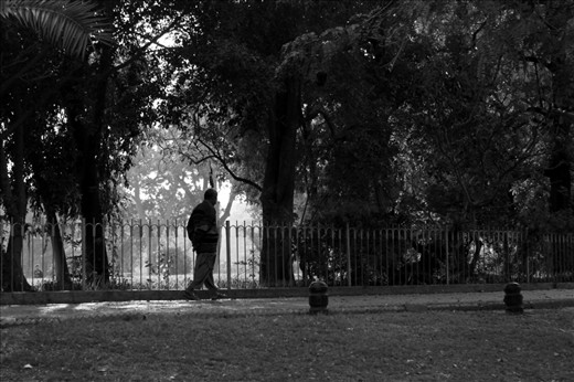 an old man walking in the park deep in thoughts