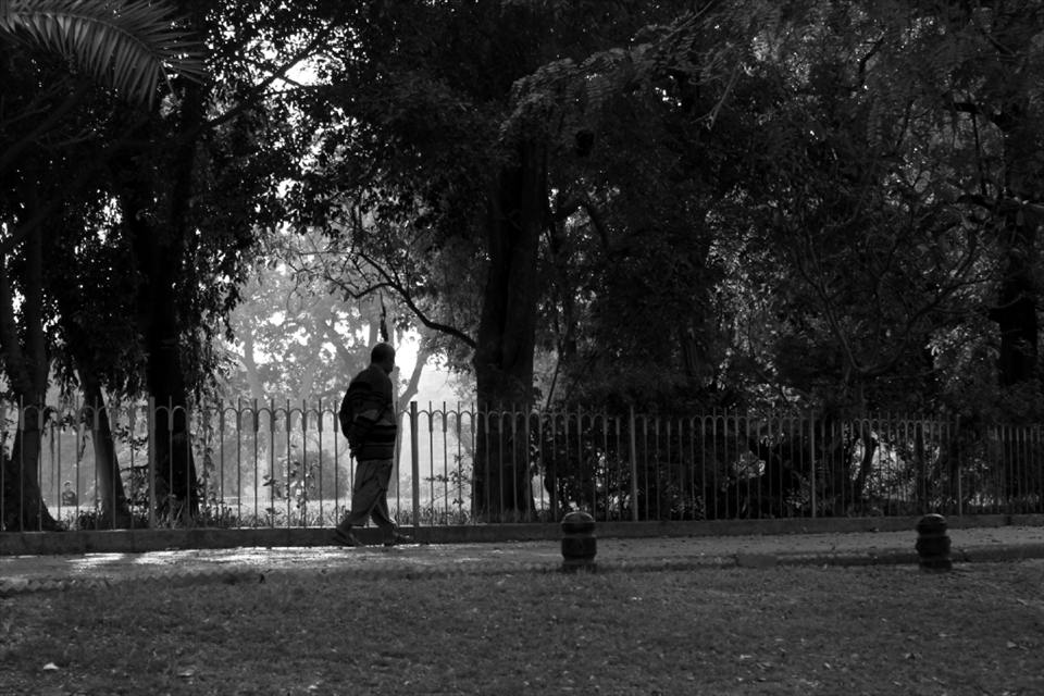 an old man walking in the park deep in thoughts