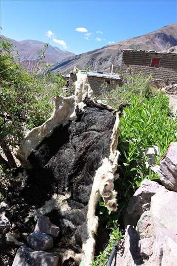 A leather drying, will serve as part of trade.