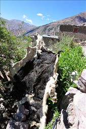 A leather drying, will serve as part of trade.: by sanisidro, Views[307]