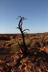 by sannu, Views[224]