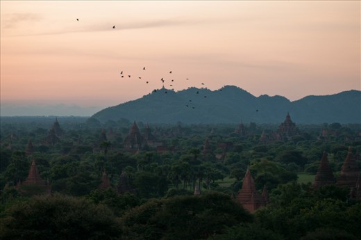 The place, Bagan, on top of one of the two thousand temples, sunrise. 