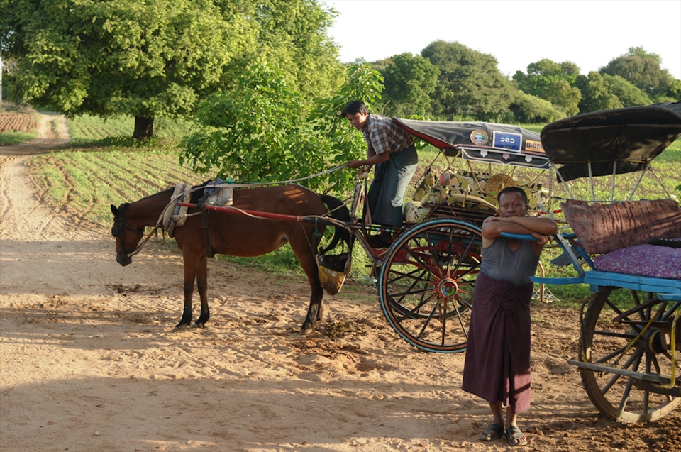 To get around, chariots, or rusty bicycles. 