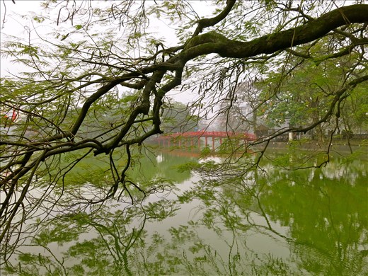 Los arrozales acompañan en el camino a Cao Bang;el Arroz,base de esta Cultura