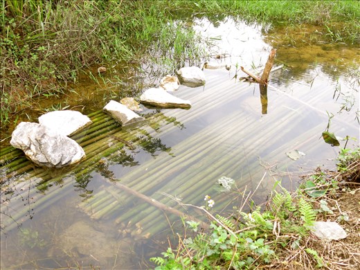 Los reflejos del poder natural del Agua me devuelven a los Orígenes.