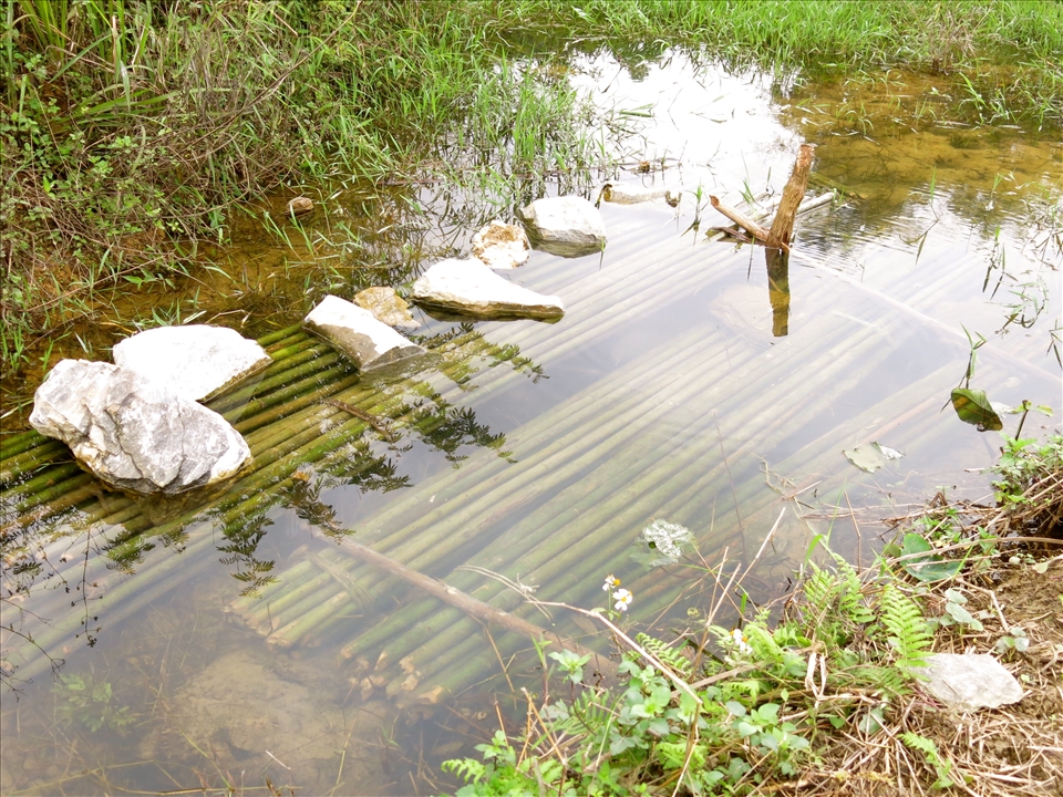 Los reflejos del poder natural del Agua me devuelven a los Orígenes.