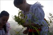A place I have visited is Poienile Izei, a not-so-very-accessible picturesque mountain region situated in Maramures, in the North of Romania, where traditions are better preserved than anywhere else in the country.  I was there during the Sanziene celebration (Lady’s Bedstraw Day) on the 24th June. Sanzienele are local folklore good fairies that dance on the fields at night, giving plants magical powers. That’s why the little yellow flowers carry the same name.
It is said that the young maidens of the village must pick these sanziene flowers early in the morning to be used later on that day, in some love related folk practices. Here is where I met Amalia, Patri and Aurica, 3 teenagers in their 12 to 14 in their journey from superstition and traditional makeover, to chit chat about meeting boys.
As they always do on Sundays and at each celebration in the village, they have put on their traditional costumes, taking pride especially in their blouses, or ia, which used to be manually embroidered and sewn by mothers and daughters as a symbol of every girl’s pride and skills.: by sanziene, Views[427]