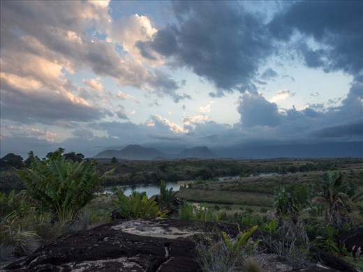 Flourishing 'Traveller's Palm' in the east still abundant with water. A Jurassic rainforest on highly deformed rocks thought to have reached over 900 C during the amalgamation of Gondwana around 580 million years ago. 
