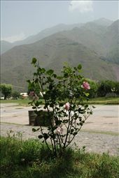 by saqib, Views[216]