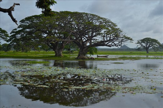 Harmony is everywhere. Be ready to open your soul...