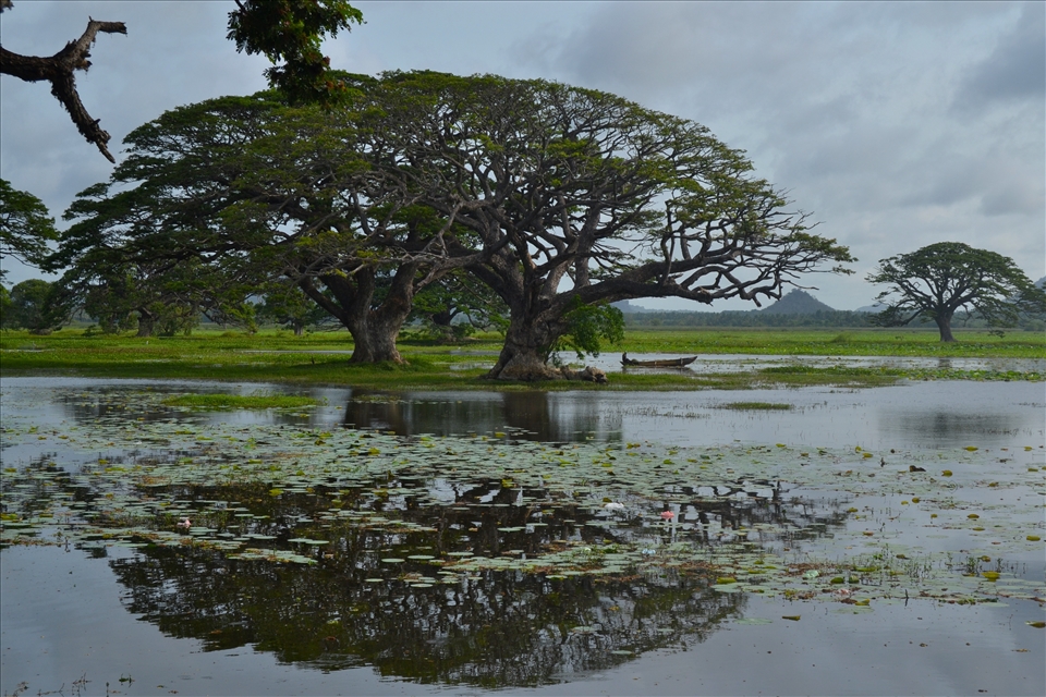 Harmony is everywhere. Be ready to open your soul...