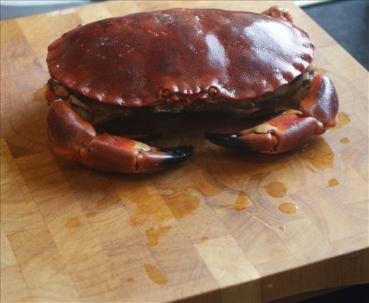 Crab