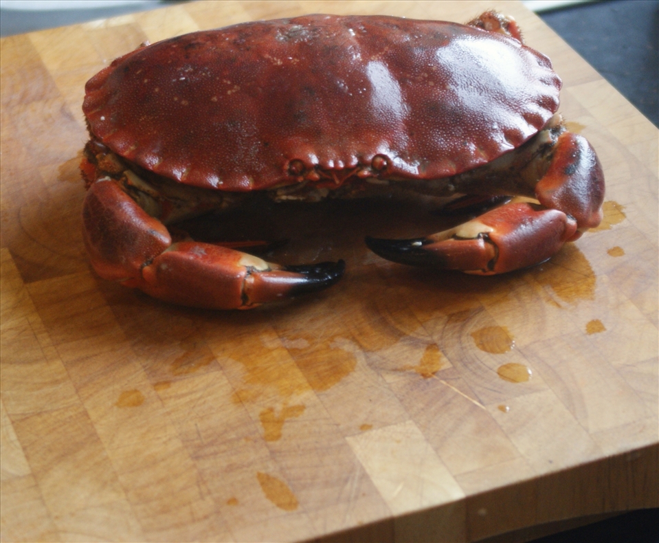Crab