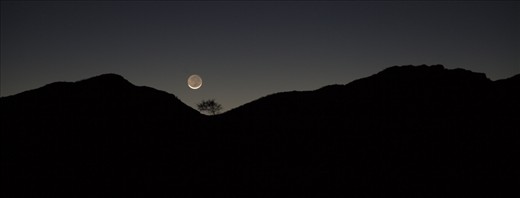 One the way back to Wilpena Pound one evening the moon was going down.  The tree in the dip of the perimeter of the pound stood out.  It is by the light of the silvery moon.  It was so serene and the night sky was amazing with very bright stars.  I think it was nature showing a softer side of the Flinders Ranges but the tree by itself, also emphasised the isolation of the area.  The silhouette of the image also hides a lot of the unknown of the area.