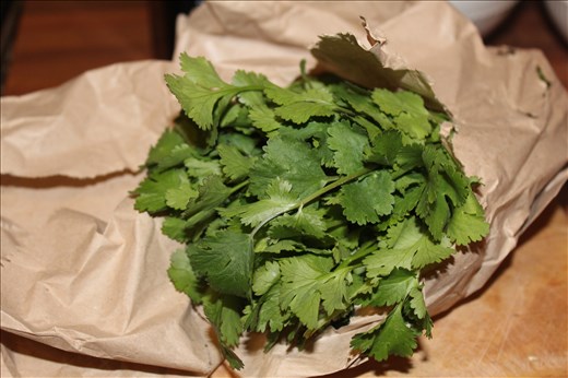 Coriander