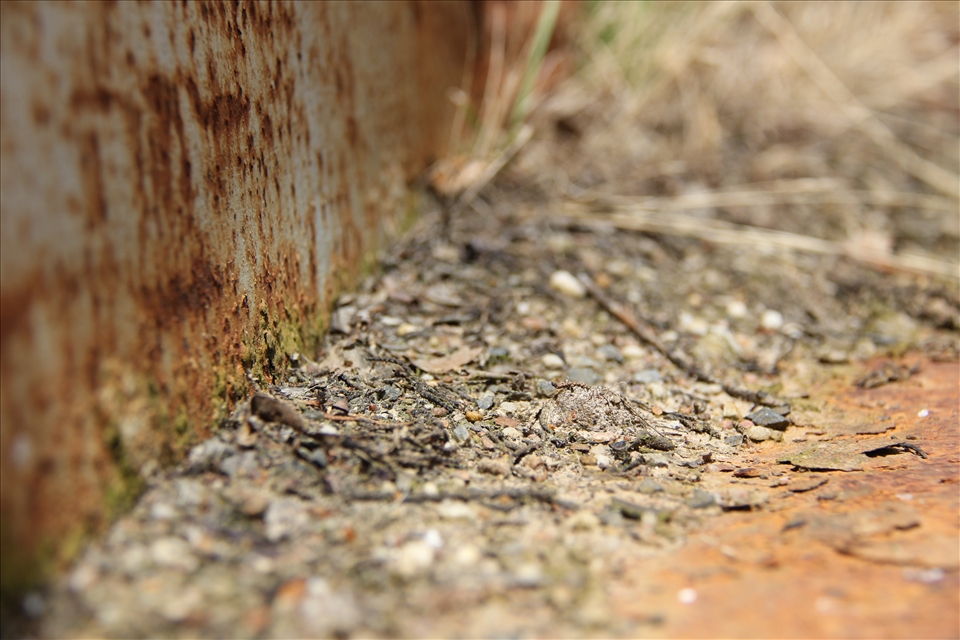 Our soils we stand on