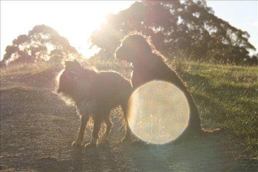 Adventures through any weather