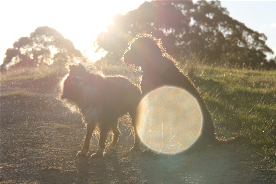 Adventures through any weather