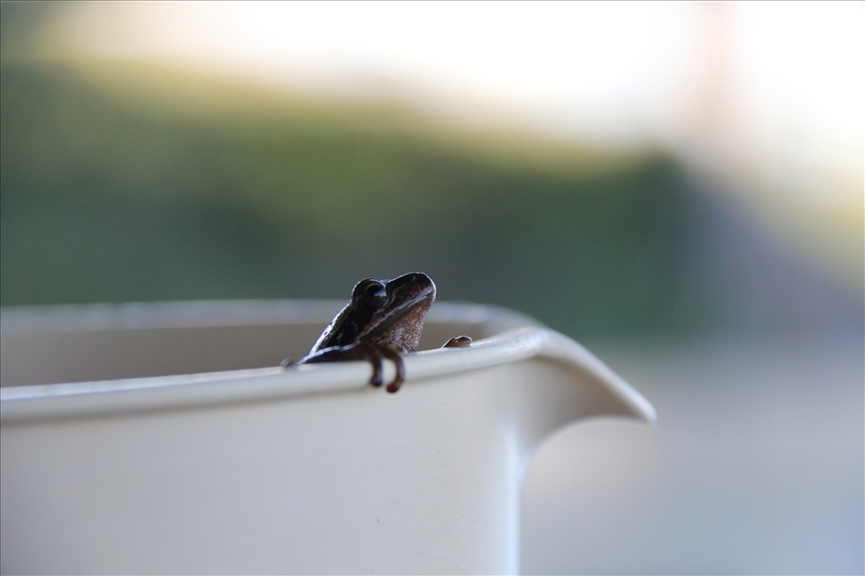 Peeping over the edge