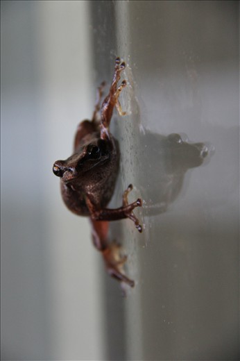 Searching for someone