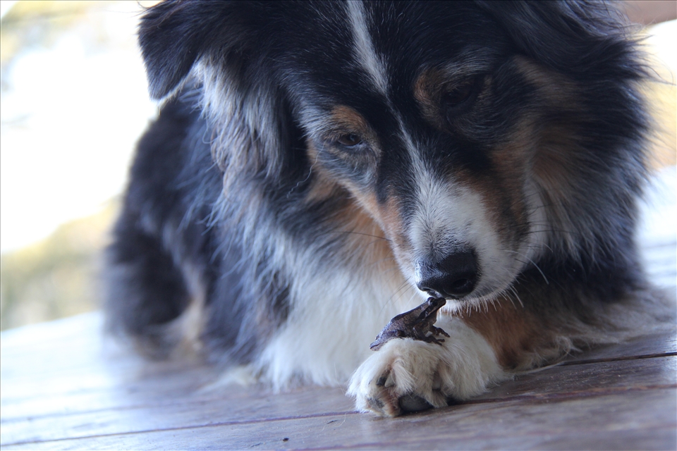 Finally found that someone