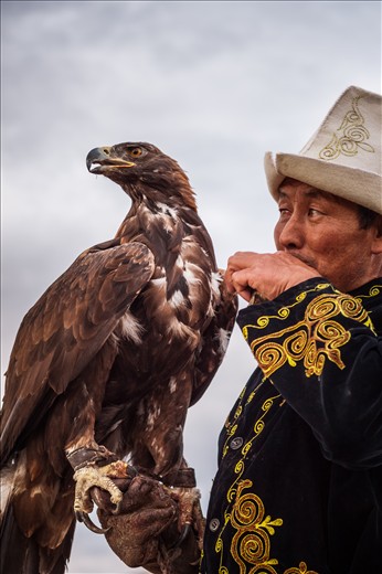 Tumara getting ready to hunt for dinner with her human.