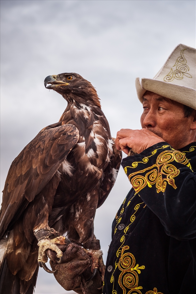 Tumara getting ready to hunt for dinner with her human.