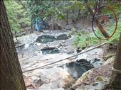 The natural hot springs: by sarahcosford, Views[287]
