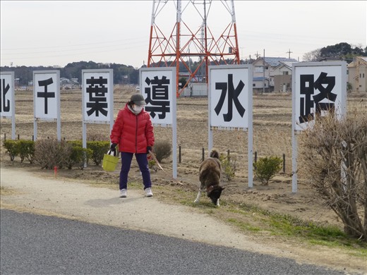 It used to be one of the most polluted lakes in Japan, but has since been cleaned by a sophisticated system, the name of which lies in the kanji (Chinese characters) behind the lady’s head. She is walking her dog, rugged up in an insulated jacket typical of those worn by the Japanese in winter, and is wearing a facemask. This is worn either as a courtesy to others when sick, or as a preventative measure of avoiding catching illnesses, particularly in the winter months.  