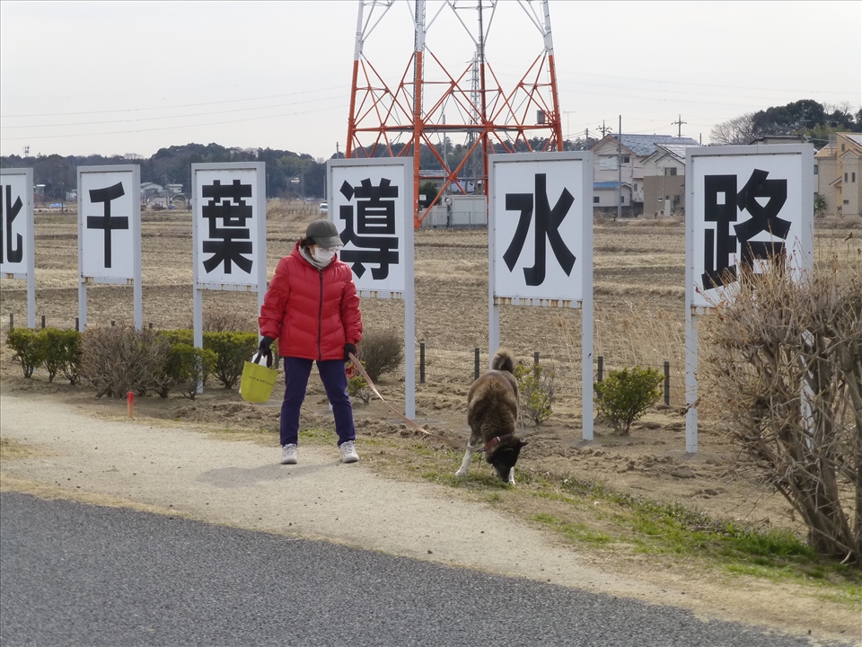 It used to be one of the most polluted lakes in Japan, but has since been cleaned by a sophisticated system, the name of which lies in the kanji (Chinese characters) behind the lady’s head. She is walking her dog, rugged up in an insulated jacket typical of those worn by the Japanese in winter, and is wearing a facemask. This is worn either as a courtesy to others when sick, or as a preventative measure of avoiding catching illnesses, particularly in the winter months.  