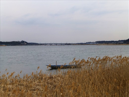 Lake Teganuma, located in the Chiba Prefecture near Tokyo, is a popular walking, fishing, running and general recreation spot for the Japanese that live nearby. This lake is situated very close to the first house that I lived in with my Australian mother and American father in Abiko. Cold, bleak and rather serene, I visited this place when winter was nearing its end. A Japanese family friend that my brother and I were staying with in a house nearby took us for a walk there.
