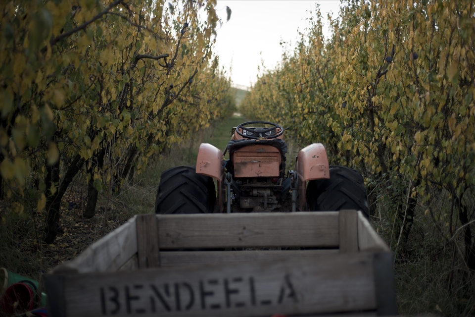 Located in rural New South Wales, Bendeela Orchard is a privately owned and maintained fruit orchard.