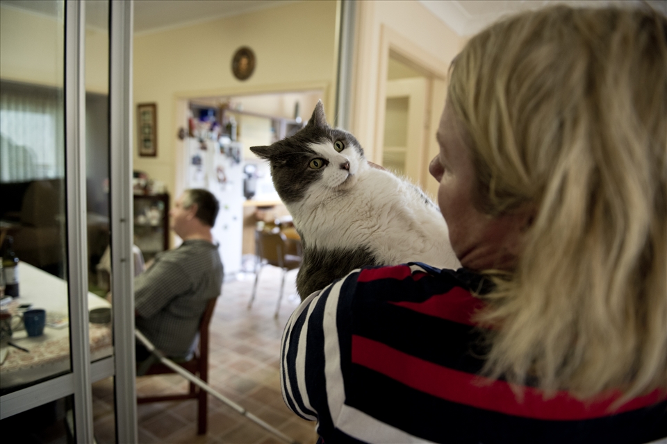 As a result of his recent aneurism, the brother has been left unable to walk properly, and needs his sister to care for him. This has left the orchard to fall into a state of disrepair. 