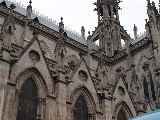 Check out the local fauna!