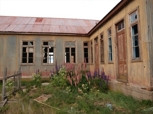 Abandoned Estancia on the way out of Ushuaia