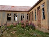 Abandoned Estancia on the way out of Ushuaia: by saraheturpin, Views[236]