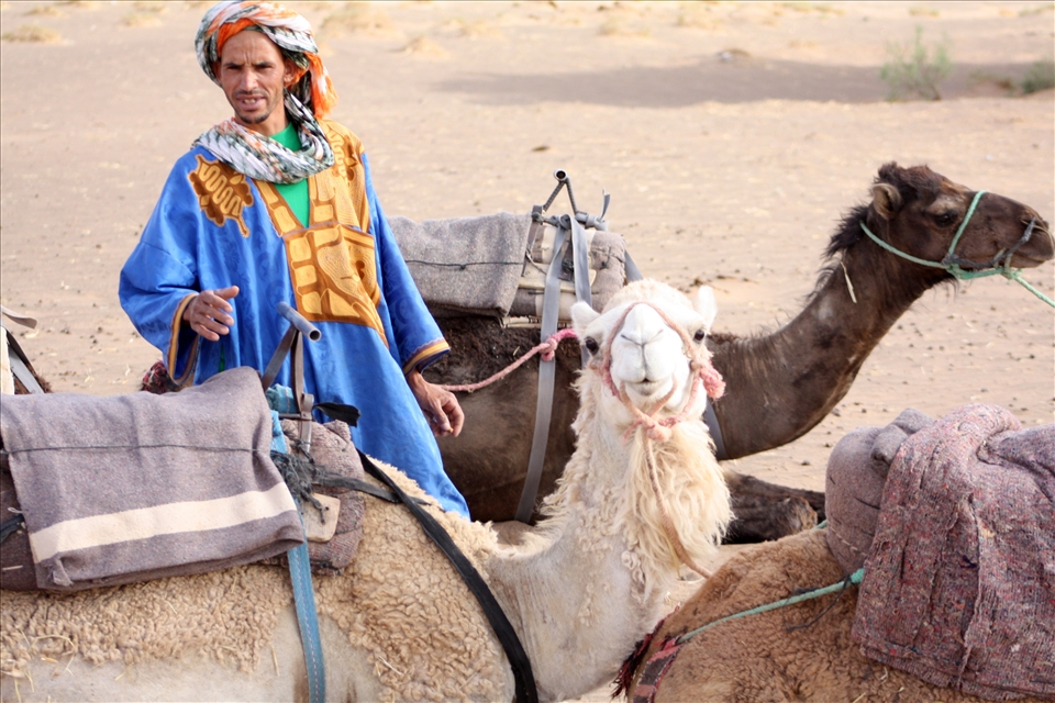 The journey into the Moroccan part of the Sahara begins just outside of Merzouga, and the Berber guides assist the travelers in mounting the tethered camels in groups of five.