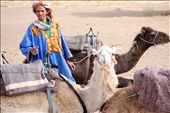 The journey into the Moroccan part of the Sahara begins just outside of Merzouga, and the Berber guides assist the travelers in mounting the tethered camels in groups of five.: by sarahewentz, Views[311]
