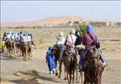 At the beginning of the journey, buildings are present on one side even as small dunes litter the other horizon. As the Berber guides direct the camels, they joke in broken Arabic with the student travelers.: by sarahewentz, Views[381]