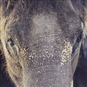 by sarahjones6, Views[156]