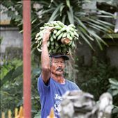 by sarahjones6, Views[159]