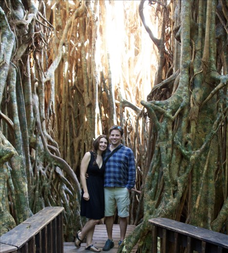 Underneath the incredible 500 year old Cathedral Fig Tree.