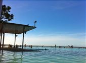 Relaxing at the Cairns' Lagoon.: by sarahlizweaver, Views[352]