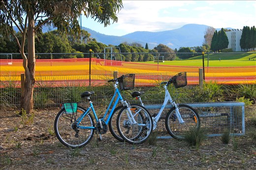 The best way to see Hobart!