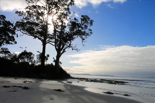 Peaceful beach on Bruny Island